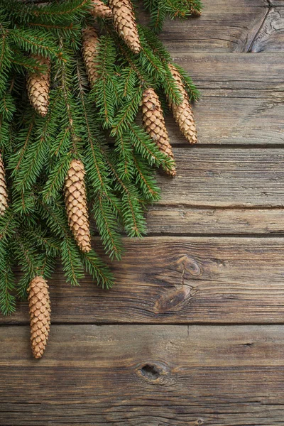 Gran Grenar Med Kottar Brun Trä Bakgrund — Stockfoto