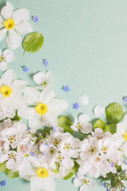 Yeşil kağıtta beyaz narsis ve kiraz çiçekleri