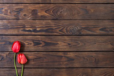 Koyu ahşap zemin üzerinde kırmızı laleler