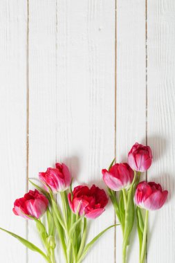 Beyaz ahşap zemin üzerinde kırmızı laleler 