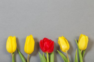 Gri kağıt arkaplanda laleler