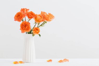 beyaz arkaplanda turuncu güller