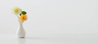 Beyaz arkaplanda beyaz vazodaki güller