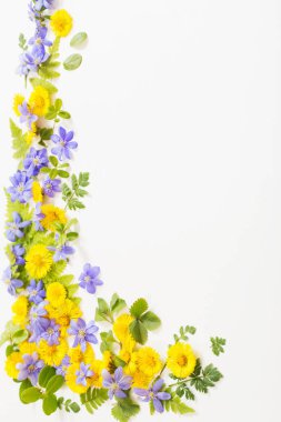 bahar sarısı ve menekşe çiçekleri kağıt arkaplanda