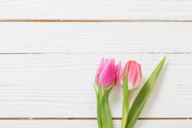 Beyaz ahşap arka planda iki pembe lale