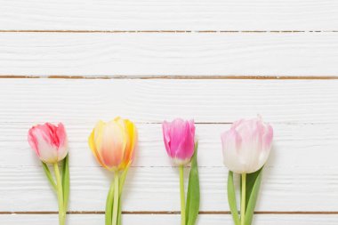 Beyaz ahşap zemin üzerinde güzel laleler