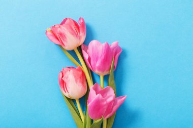 Mavi kağıtta pembe laleler