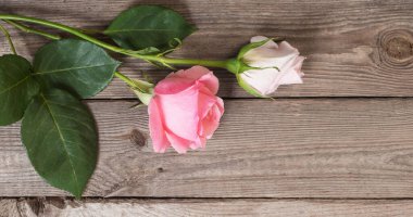 Eski ahşap arka planda iki pembe gül