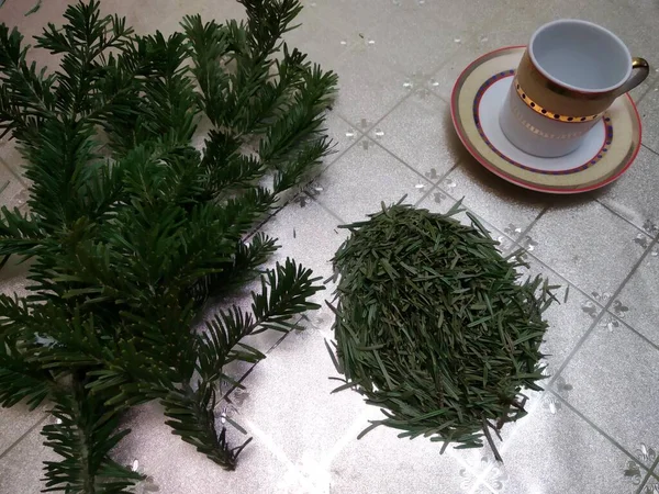 Zelené Větve Borové Jehličí Rostlinné Medicíně Léčivý Čaj — Stock fotografie