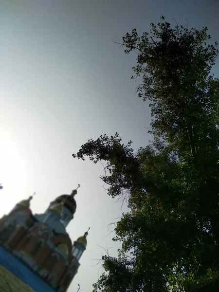Rami Albero Sullo Sfondo Della Chiesa Ortodossa — Foto Stock