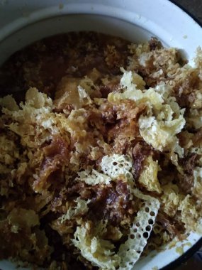 Doğal arı sokması, bal peteği bağışıklık sisteminin sağlığını güçlendirmek için doğal ilacı kaplar.