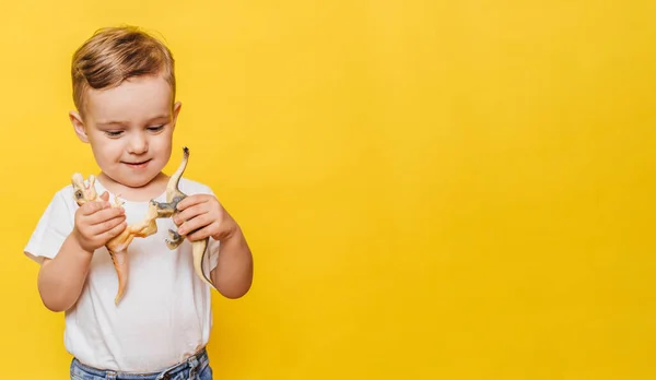 Słodki, śmiejący się chłopczyk na żółtym tle z zabawką dinozaura w rękach. Przestrzeń kopiowania. — Zdjęcie stockowe