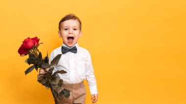 Beyaz gömlekli, pantolonlu ve sarı arka planda papyonlu bir çocuk elinde bir buket kırmızı gül tutuyor. Annem için bir hediye, büyükanne. Metnin için boşluk ile