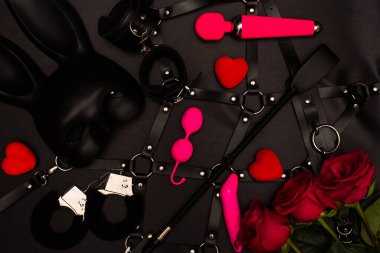 Set of adult toys on a dark background with red roses clipart