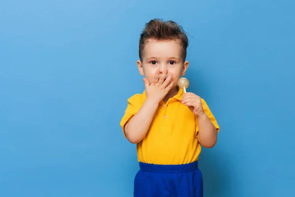 Um garoto encantador olha para a câmera enquanto segura um chupa-chupa em um fundo azul. Prevenção da cárie infantil — Fotografia de Stock