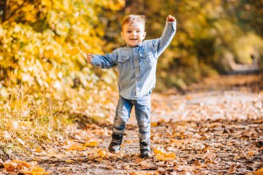 Mutlu çocuk, sonbahar sarısı yapraklarıyla parkta oynuyor.