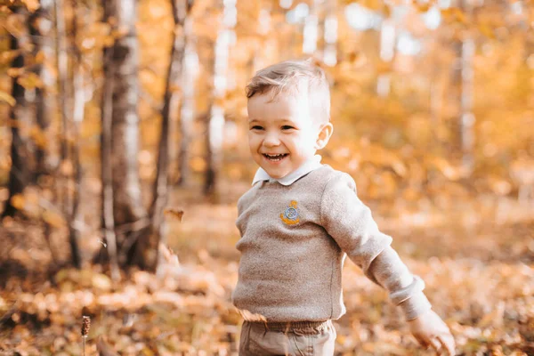 Feliz niño sonriente en el parque con hojas de otoño — Foto de Stock