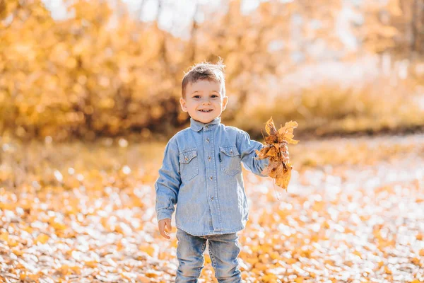 Glad leende pojke leker med höstlöv i parken — Stockfoto