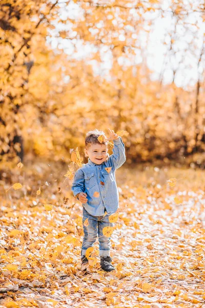 Glad söt pojke leker med höstlöv i parken — Stockfoto