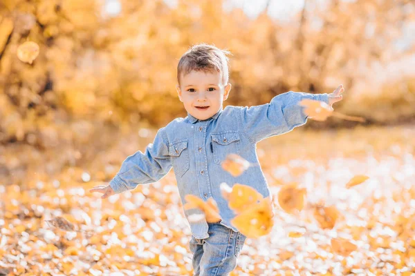 Feliz chico lindo jugando con hojas de otoño en el parque —  Fotos de Stock