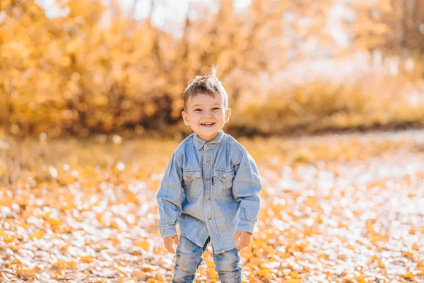 Glad leende pojke leker med höstlöv i parken — Stockfoto