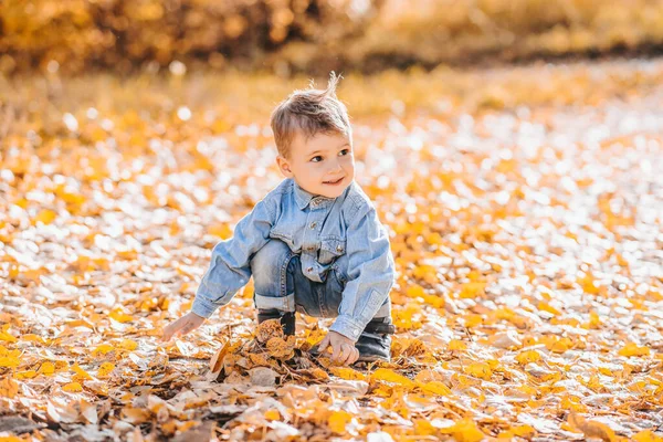 Niño feliz jugando con hojas amarillas de otoño al aire libre en el Parque —  Fotos de Stock