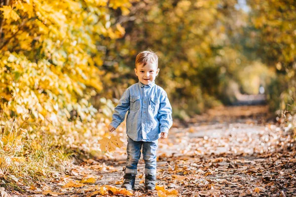 Glad pojke leker med höstgula löv utomhus i parken — Stockfoto