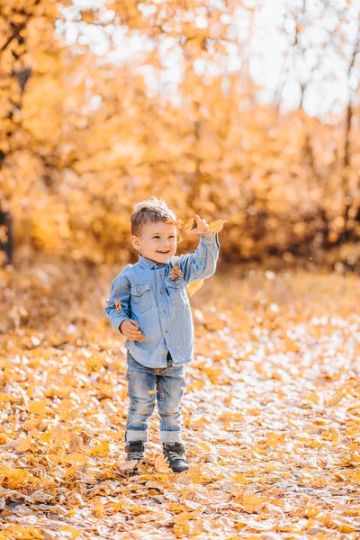 Feliz chico lindo jugando con hojas de otoño en el parque — Foto de Stock