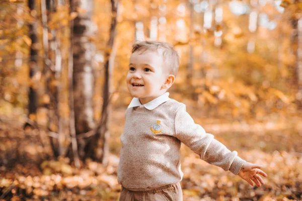 Glad leende pojke i parken med höstlöv — Stockfoto