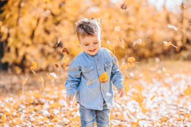 Parkta sonbahar yapraklarıyla oynayan mutlu şirin çocuk.