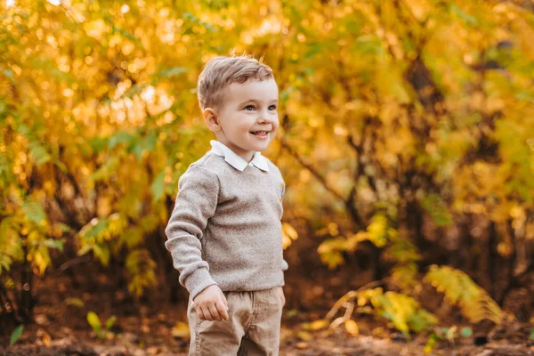 Feliz niño camina en el Parque en otoño en el follaje de oro — Foto de Stock