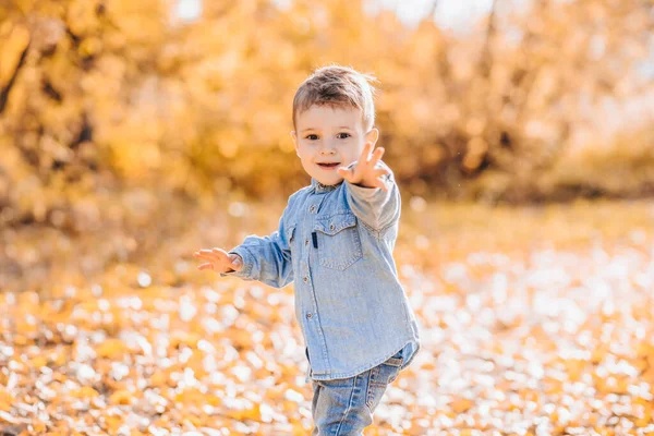 Glad leende pojke leker med höstlöv i parken — Stockfoto