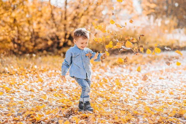 Feliz niño sonriente jugando con hojas de otoño en el Parque —  Fotos de Stock