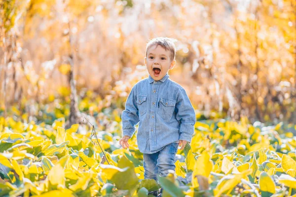 Glad pojke utomhus i Golden höst Park — Stockfoto