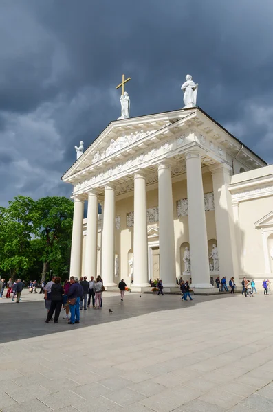 Cattedrale di San Stanislao e San Vladislav, Vilnius, Lituania — Foto Stock