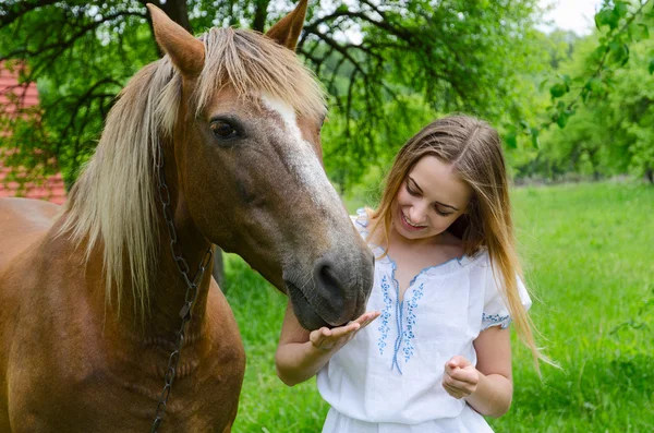 Молодая женщина и крестьянский конь — стоковое фото