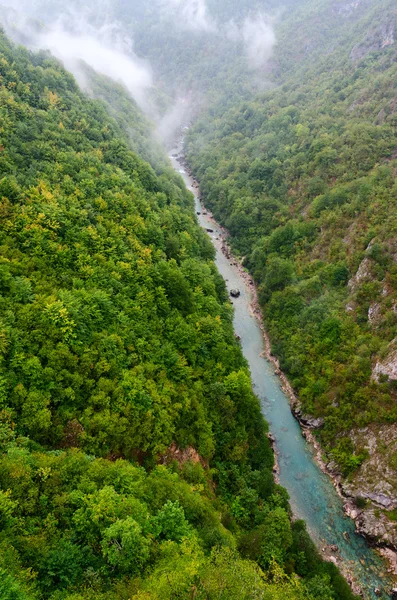 顶视图的黑山峡谷的塔拉河 — 图库照片