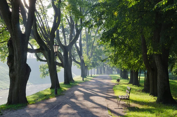 Belarus, Nesvizh. Sunny morning in the park — Stock Photo, Image