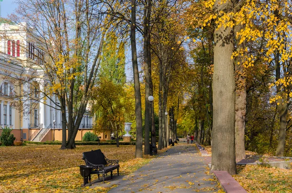 Беларусь, Гомель, аллея в осеннем парке — стоковое фото