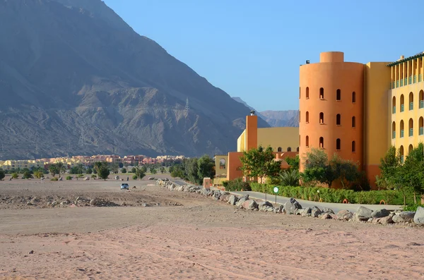 Egypt, Taba. Oasis in the desert — Stock Photo, Image