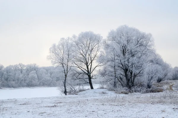 Dezembro paisagem — Fotografia de Stock