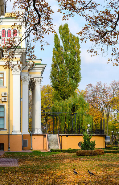 Golden Autumn in the park