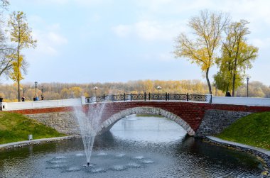 Köprü üzerinde kuğu gölet, Gomel, Beyaz Rusya