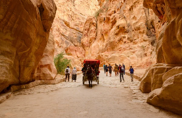 Tourists ride in carriage and go through gorge in Petra, Jordan — Stock Photo, Image