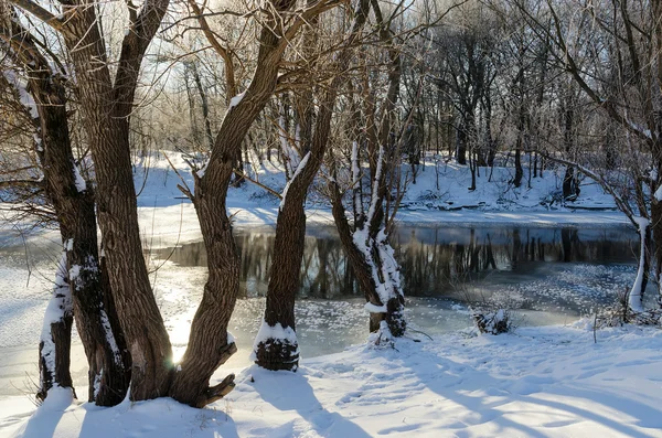 Près des rivulets d'hiver — Photo