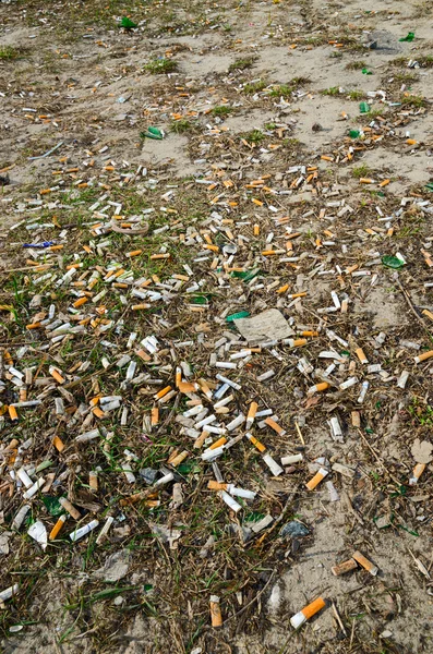 Colillas de cigarrillos en el césped de la ciudad en la primavera después de que la nieve se derrite — Foto de Stock