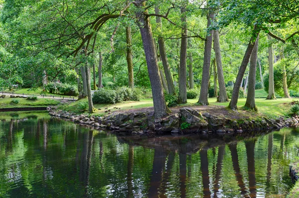 Staw w parku botanicznym, Połąga, Litwa — Zdjęcie stockowe