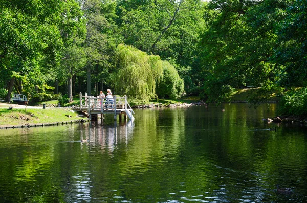 People walk in Botanical park near pond, Palanga, Lithuania — Stock Photo, Image