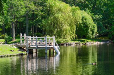 Palanga botanik Park su birikintisi