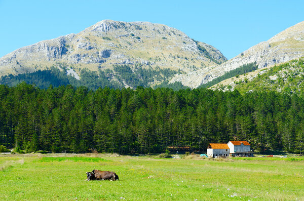 The village of Negushi, Montenegro